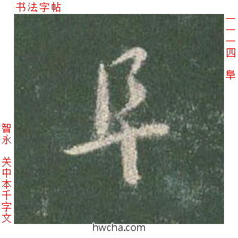 阜草书怎么写好看 阜草书写法 草书千字文 智永·隋