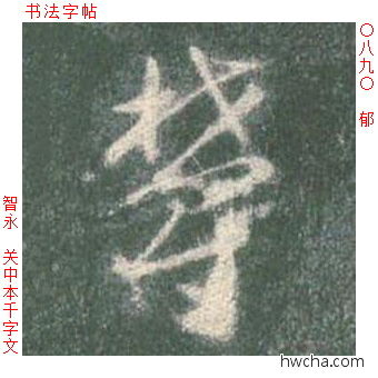 郁草书怎么写好看 郁草书写法 草书千字文 智永·隋