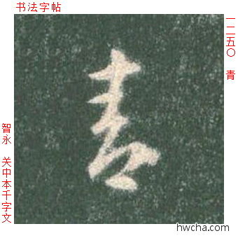 青草书怎么写好看 青草书写法 草书千字文 智永·隋