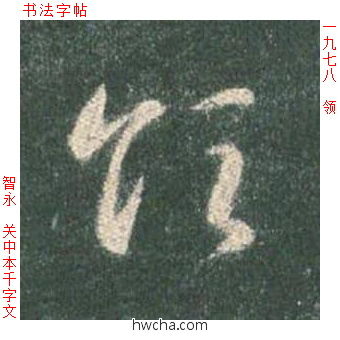 领草书怎么写好看 领草书写法 草书千字文 智永·隋