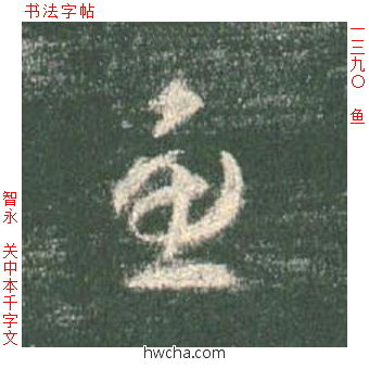 鱼草书怎么写好看 鱼草书写法 草书千字文 智永·隋