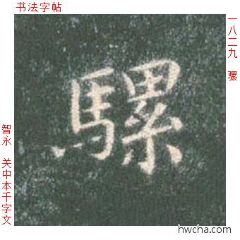 骡楷书怎么写好看 骡楷书写法 真书千字文 智永·隋