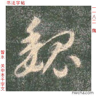 魏草书怎么写好看 魏草书写法 草书千字文 智永·隋