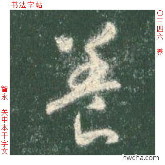 养草书怎么写好看 养草书写法 草书千字文 智永·隋