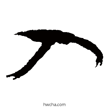 入草书怎么写好看 入草书写法 怀素