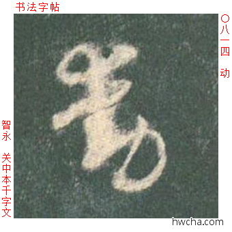 动草书怎么写好看 动草书写法 草书千字文 智永·隋