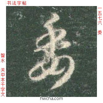 委草书怎么写好看 委草书写法 草书千字文 智永·隋