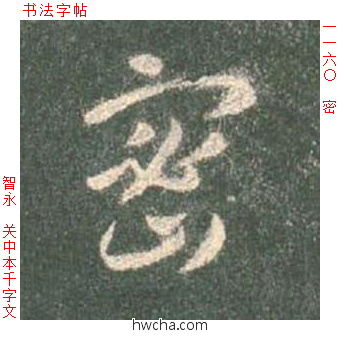 密草书怎么写好看 密草书写法 草书千字文 智永·隋