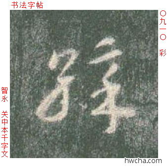 彩草书怎么写好看 彩草书写法 草书千字文 智永·隋