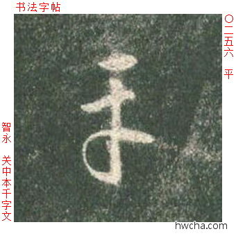 平草书怎么写好看 平草书写法 草书千字文 智永·隋