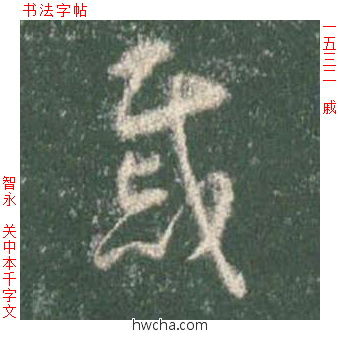 戚草书怎么写好看 戚草书写法 草书千字文 智永·隋