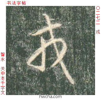 戎草书怎么写好看 戎草书写法 草书千字文 智永·隋