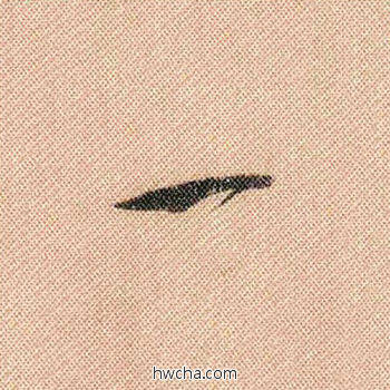 一行书怎么写好看 一行书写法 蜀素帖 米芾·北宋