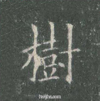 树楷书怎么写好看 树楷书写法 皇甫诞碑 欧阳询·唐