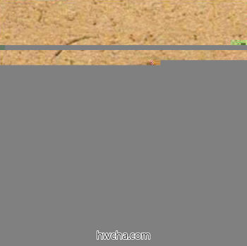 田草书怎么写好看 田草书写法 草书千字文 董其昌·明