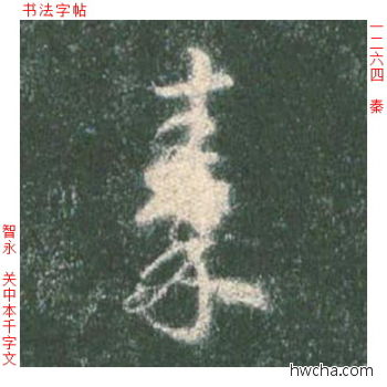 秦草书怎么写好看 秦草书写法 草书千字文 智永·隋