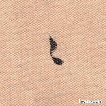 种行书怎么写好看 种行书写法 蜀素帖 米芾·北宋