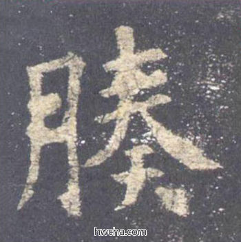 腠楷书怎么写好看 腠楷书写法 九成宫醴泉铭 欧阳询·唐