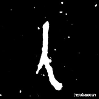 人篆书怎么写好看 人篆书写法 毛公鼎 佚名·西周