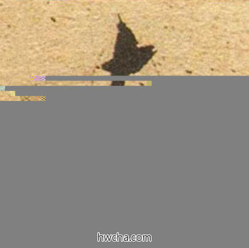 赤草书怎么写好看 赤草书写法 草书千字文 董其昌·明