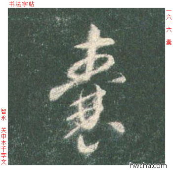 囊草书怎么写好看 囊草书写法 草书千字文 智永·隋